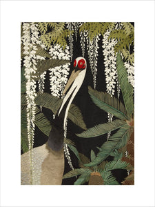 Cranes, cycads, and wisteria
