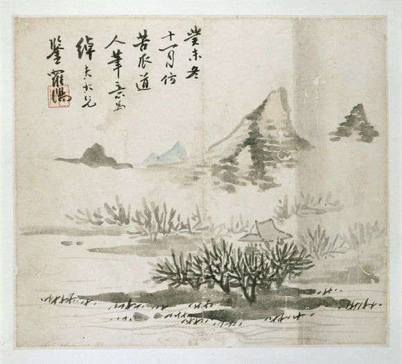 Landscape with a mountain and shrubs