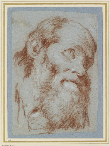 Head of an old bearded Man