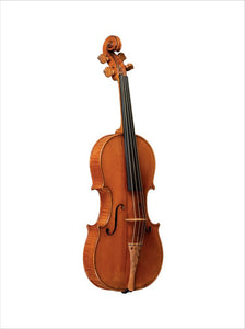 Violin "Le Messie" (Messiah), 1716