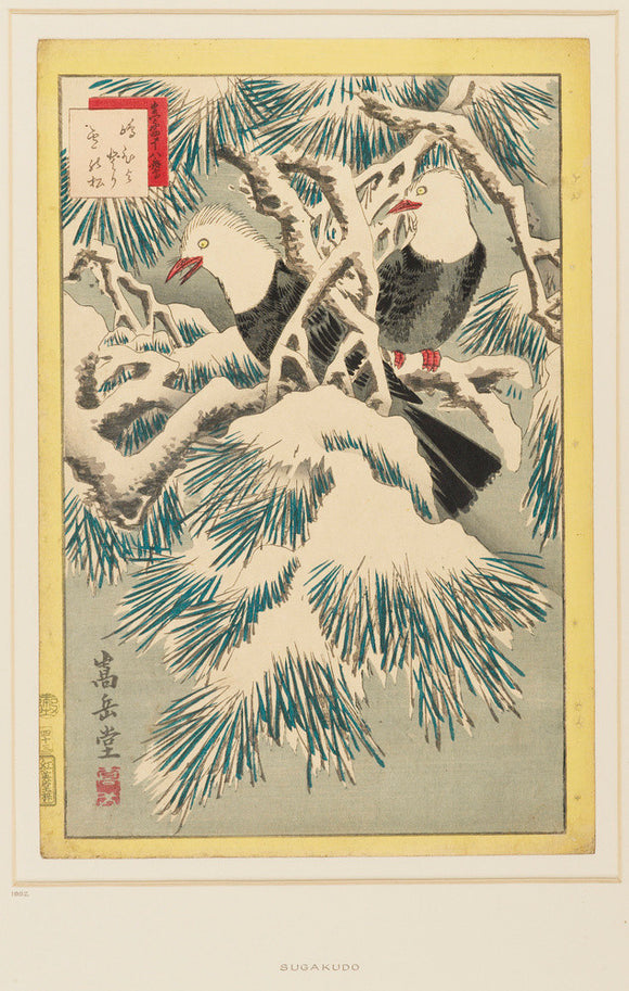 Two birds on snow-covered pine branches