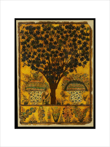 Book cover with tree, birds, and insects
