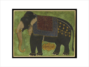 The elephant Khushi Khan