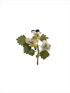 Needlework favour or love token: Pansies