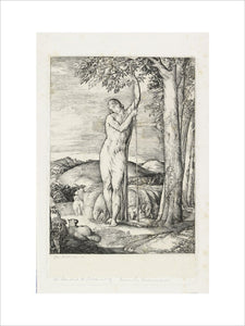 The Shepherd