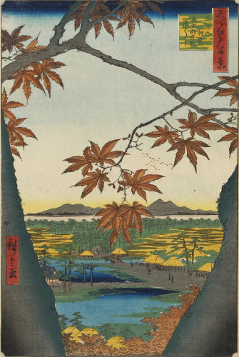 Maple Trees at Mama, Tekona Shrine, and Linked Bridge