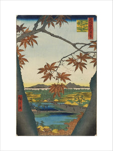 Maple Trees at Mama, Tekona Shrine, and Linked Bridge