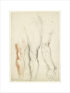Boswood's Thigh' and the right arm of Michelangelo's 'David'