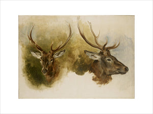 Two Studies of a Stag's Head, oil on canvas