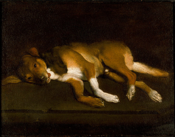 A Dog lying on a Ledge