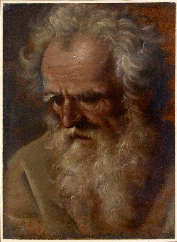 Head of an old Man
