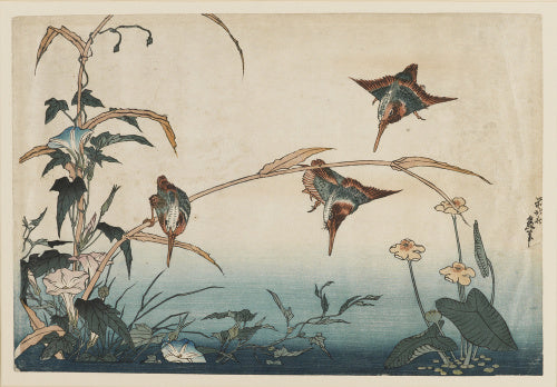 Kingfishers, Reeds, and Morning Glories