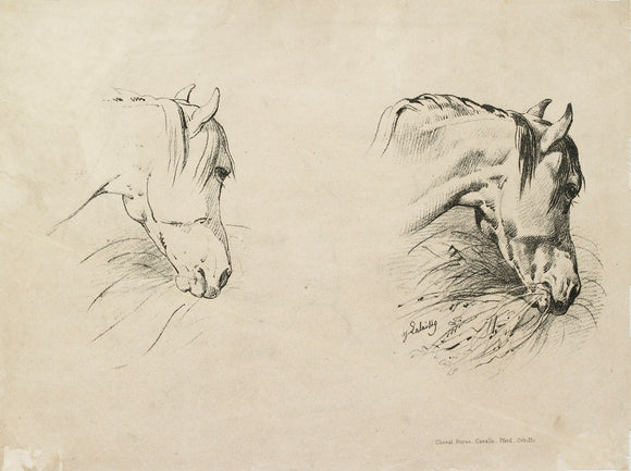 Verso: print of two horses' heads from a drawing manual
