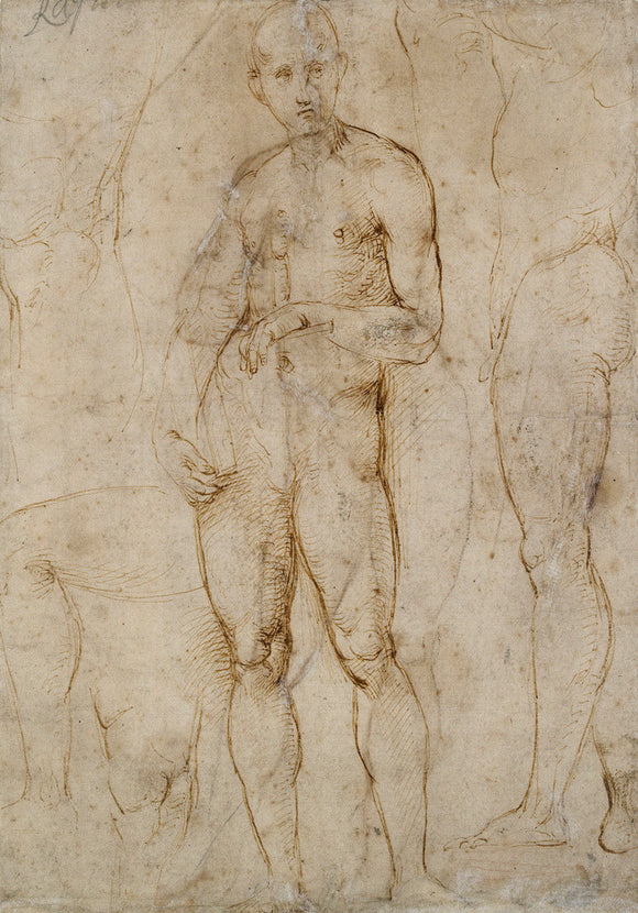 Verso: Nude Study for a St Paul