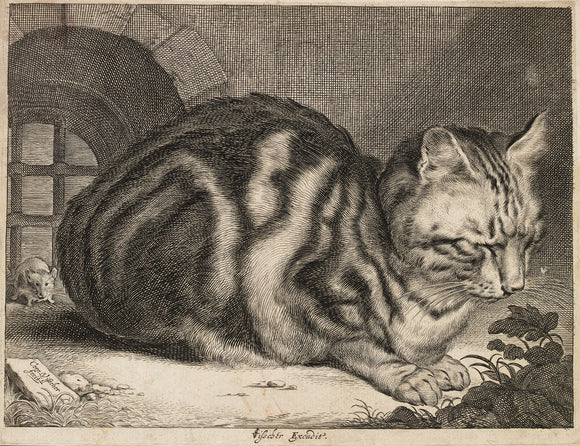 The Large Cat, c. 1657