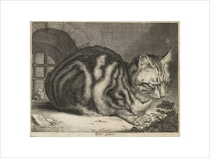 The Large Cat, c. 1657