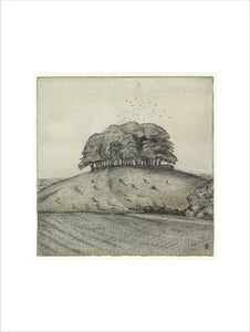 The Wood on the Hill (Wittenham Clumps); verso: landscape, 1912