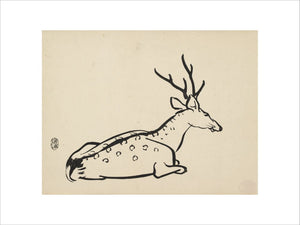Deer