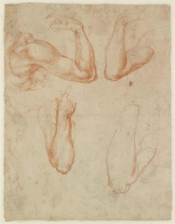 Verso: Study of arms